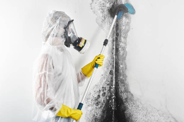 Best Air Quality Testing for Mold Spores  in Roberts, WI