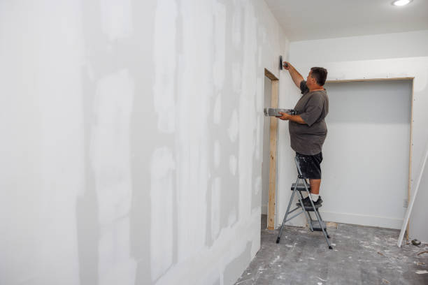 Best Mold Removal for HVAC Installations  in Roberts, WI