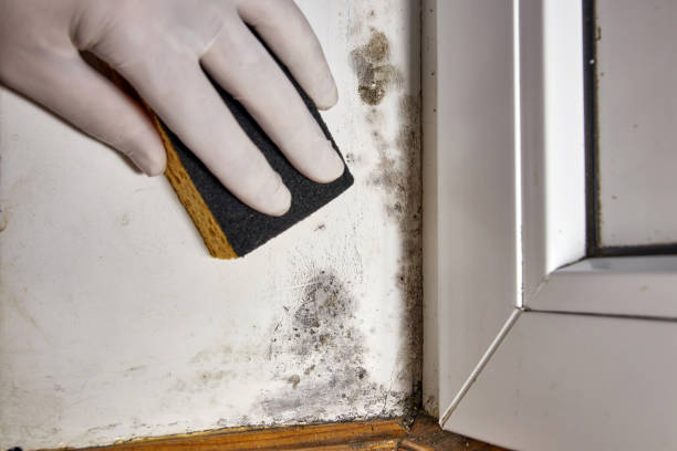 Best Real Estate Mold Inspection  in Roberts, WI