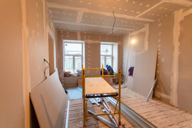 Best Attic Mold Removal  in Roberts, WI